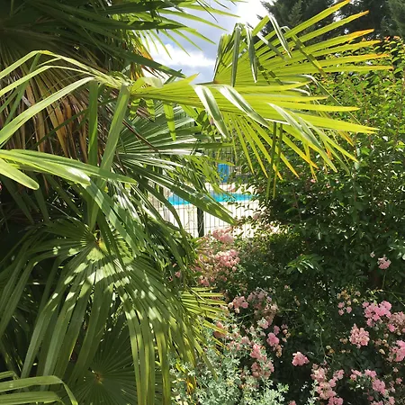 Les Croma La Roche-Posay