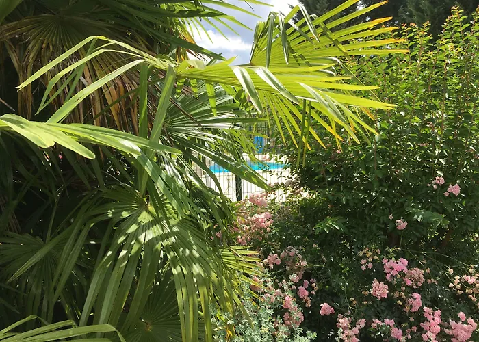 Les Croma La Roche-Posay